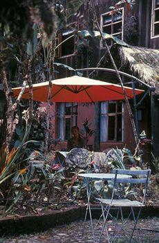 Inn El Septimo Paraiso
